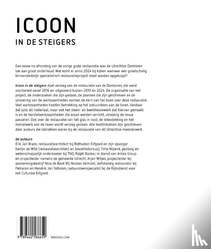  - Icoon in de steigers
