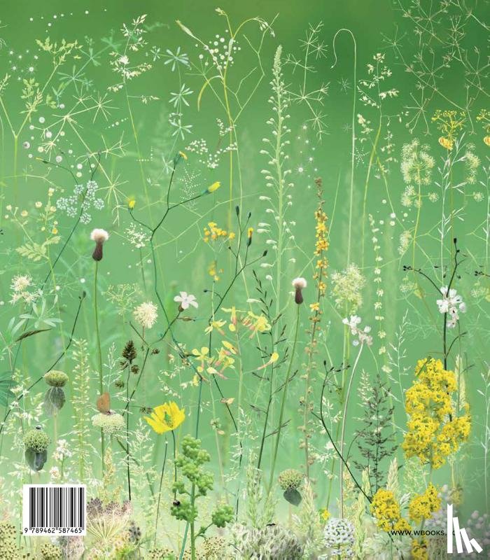 Canonne, Xavier, Ruys, Christophe, Haterd, Lex van de - Ruud van Empel