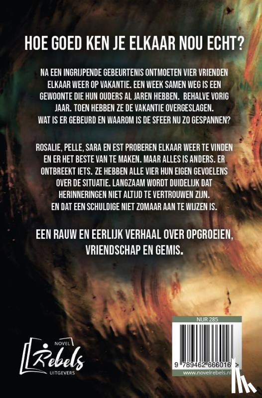 Laan, Karin van der - Wat wij niet zagen