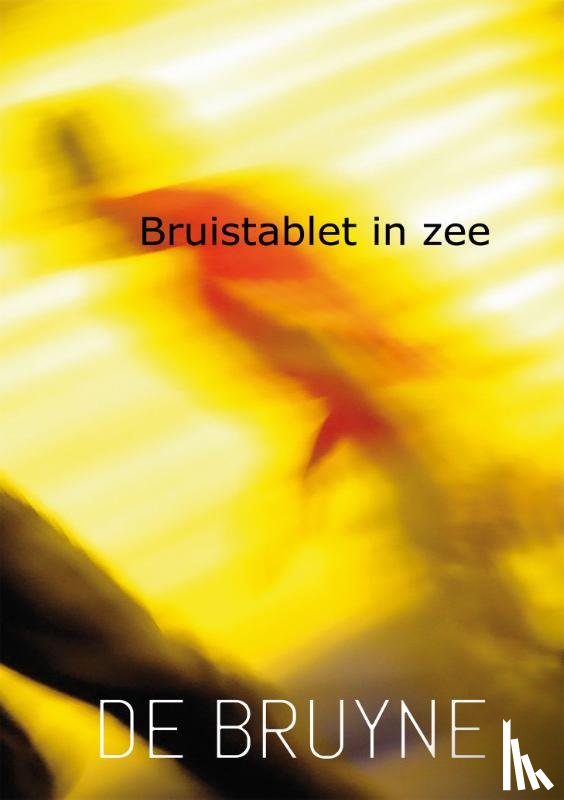 De Bruyne, Paul - Bruistablet in zee
