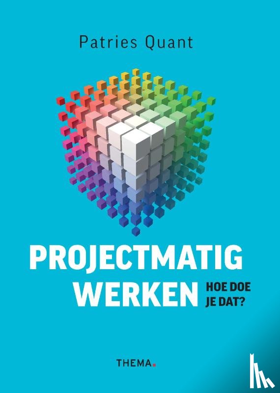 Quant, Patries - Projectmatig werken