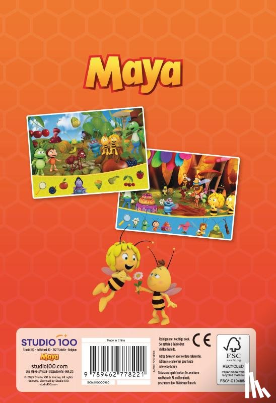Verhulst, Gert - Maya: Mini zoekboek