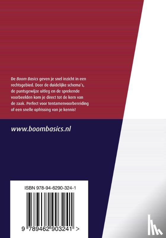 Lock, F.J.P. - Boom Basics Caribisch burgerlijk procesrecht
