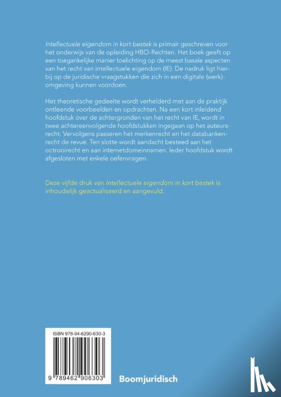 Huisjes, Sander - Intellectuele eigendom in kort bestek