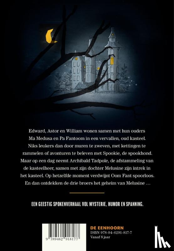 Misschaert, Inge - Het Spokentrio