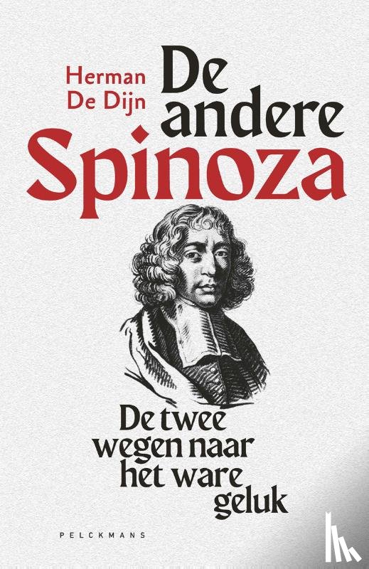 Dijn, Herman De - De andere Spinoza