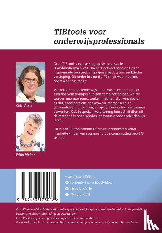 Visser, Cobi, Meints, Frida - Haal meer uit je combinatiegroep 2/3!