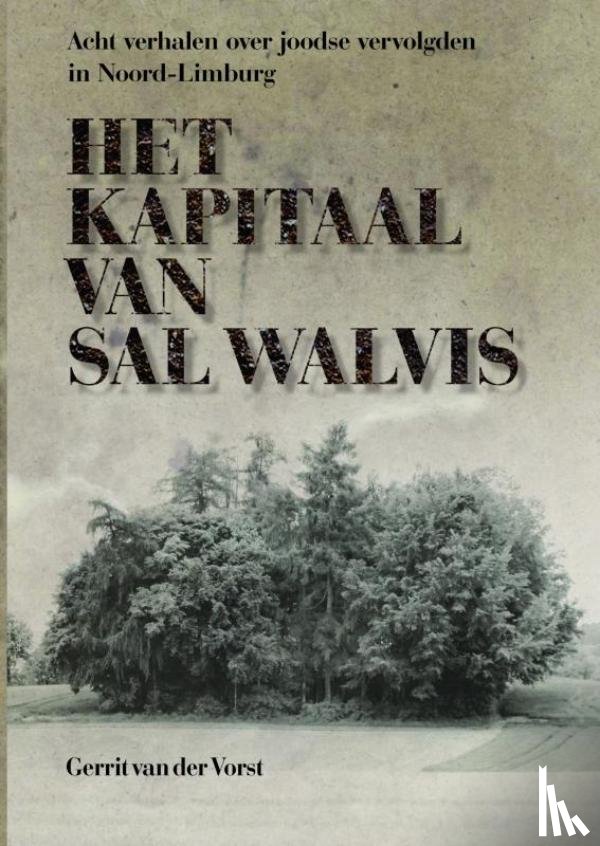 Vorst, Gerrit P. van der - Het kapitaal van Sal Walvis