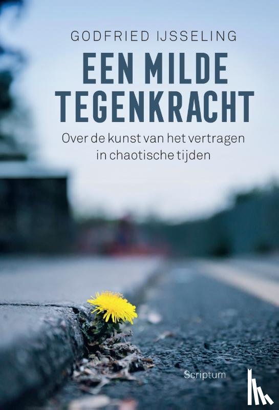 IJsseling, Godfried - Een milde tegenkracht