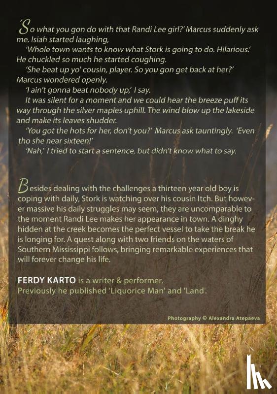 Karto, Ferdy - The Astonishments of Stork Mayfield