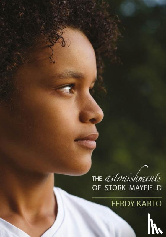 Karto, Ferdy - The Astonishments of Stork Mayfield