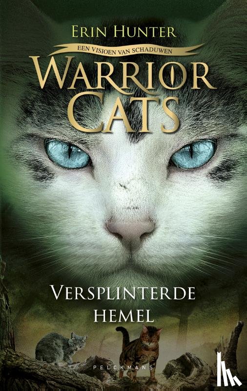 Hunter, Erin - Warrior Cats - Een visioen van schaduwen: Versplinterde hemel