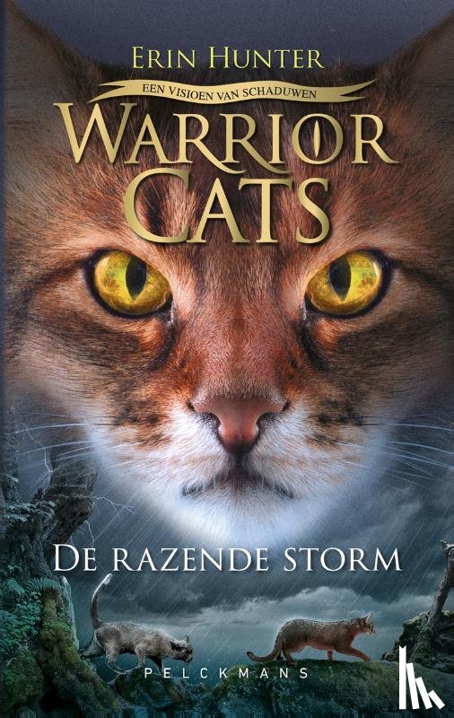 Hunter, Erin - De razende storm