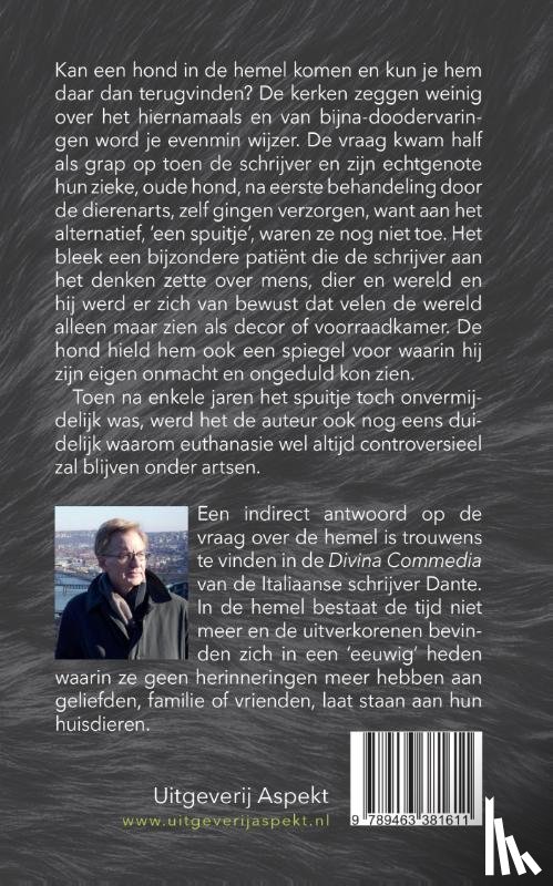 Seeverens, Harrie - De Spiegel