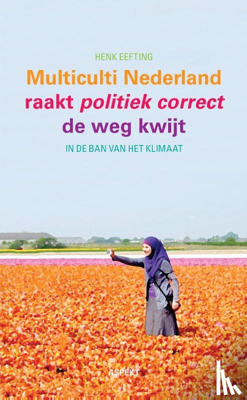 Eefting, Henk - Multiculti Nederland raakt politiek correct de weg kwijt