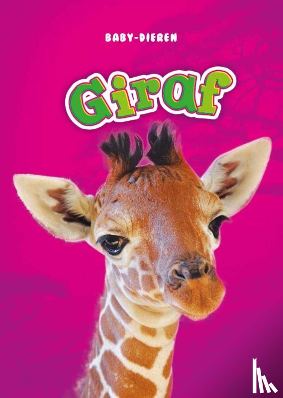 Borgert-Spaniol, Megan - Giraf