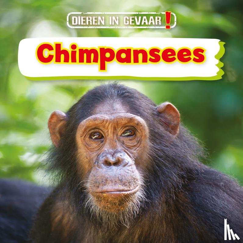Dickmann, Nancy - Chimpansees