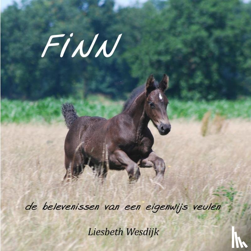 Wesdijk, Liesbeth - Finn