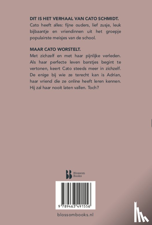 Boonstoppel, Astrid - Dit is hoe het ging