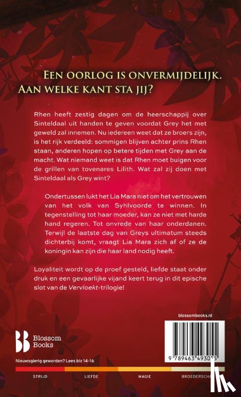 Kemmerer, Brigid - Een eed zo duivels