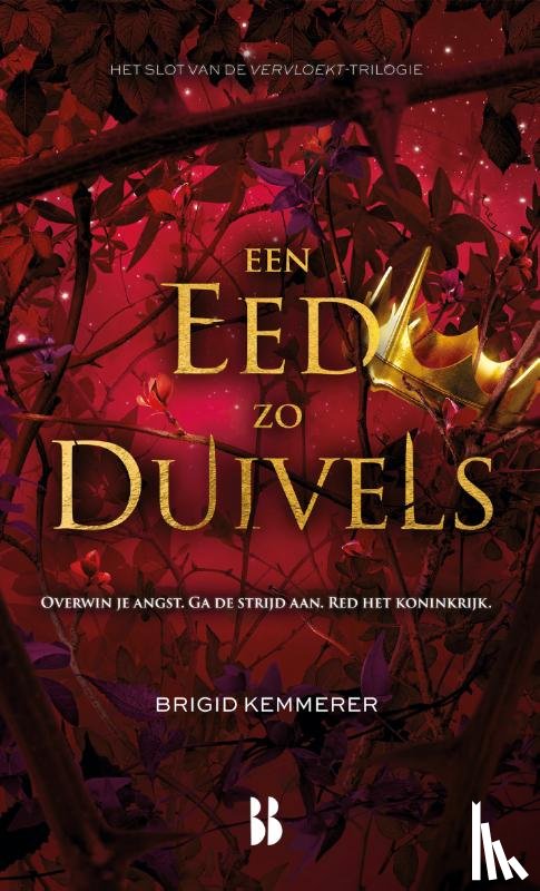 Kemmerer, Brigid - Een eed zo duivels