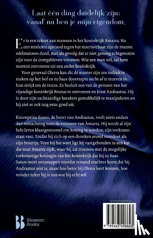 Levenseller, Tricia - What fury brings