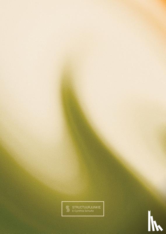 Schultz, Cynthia - Structuurjunkie-lerarenplanner 2026/2027