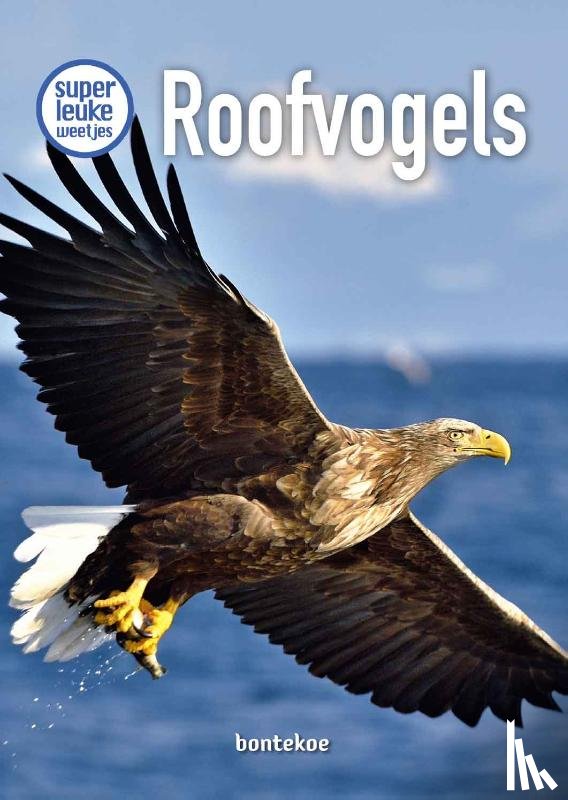 Braun, Christina, Bon, Annemarie - Superleuke weetjes - Roofvogels