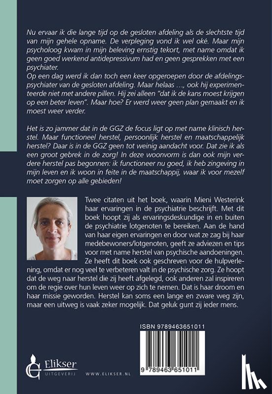 Westerink, Mieni - Herstel na dertien jaar overleven in de psychiatrie