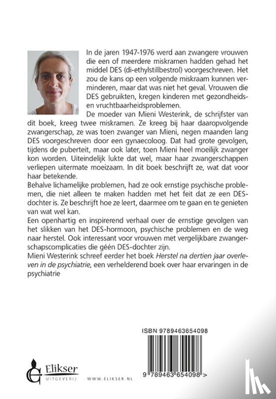 Westerink, Mieni - Het land van verlangen