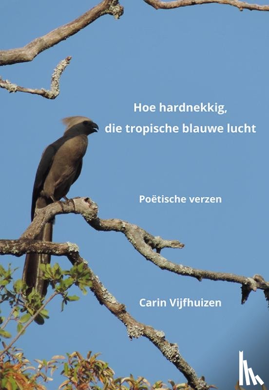 Vijfhuizen, Carin - Hoe hardnekkig, die tropische blauwe lucht