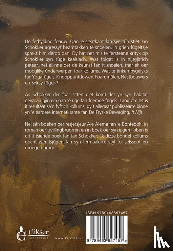 Schokker, Jan - Frjemde fûgels