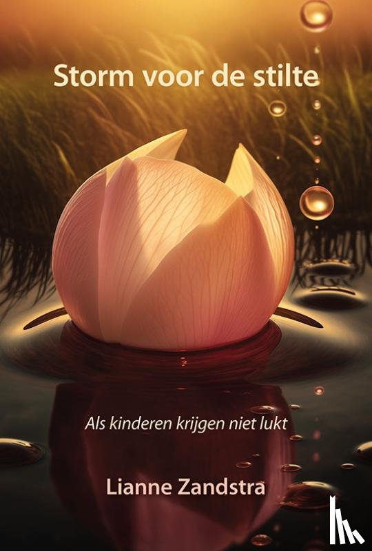 Zandstra, Lianne - Storm voor de stilte