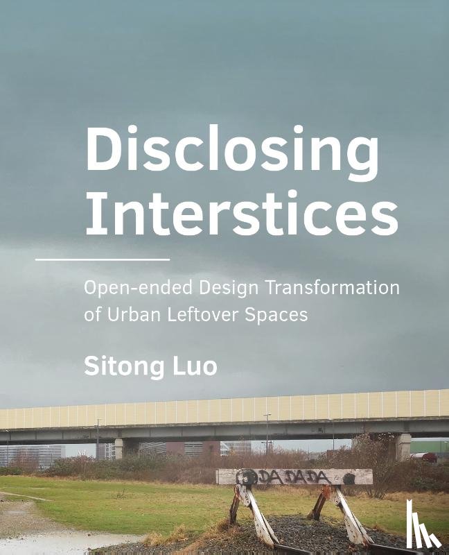 Luo, Sitong - Disclosing Interstices