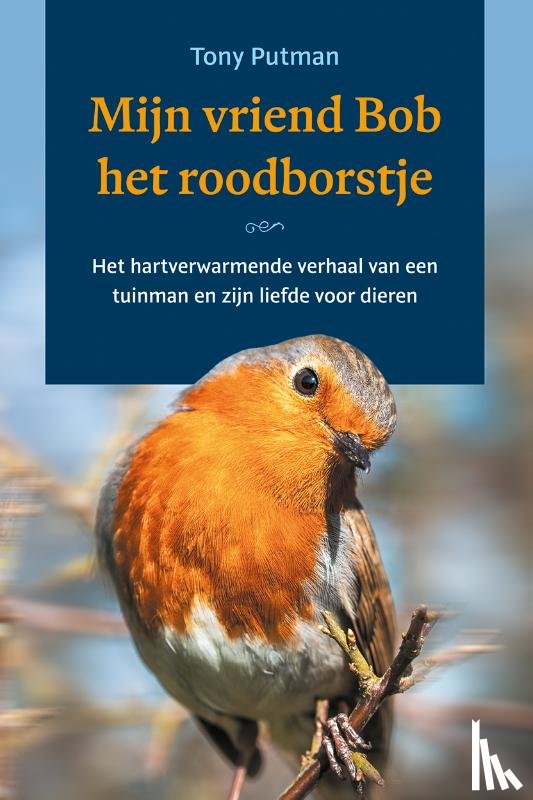 Putman, Tony - Mijn vriend Bob het roodborstje