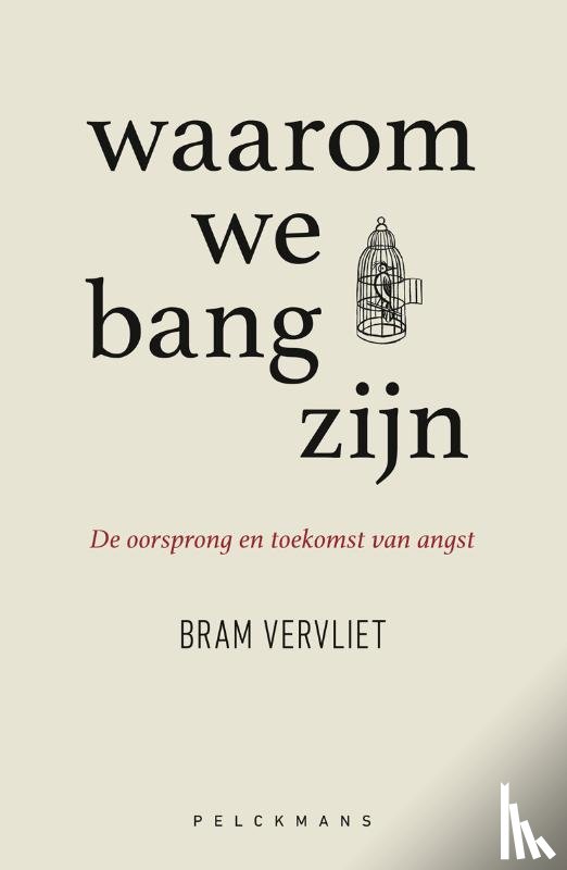 Vervliet, Bram - Waarom we bang zijn
