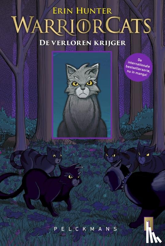 Hunter, Erin, Jolley, Dan - Warrior Cats - Manga: De verloren krijger