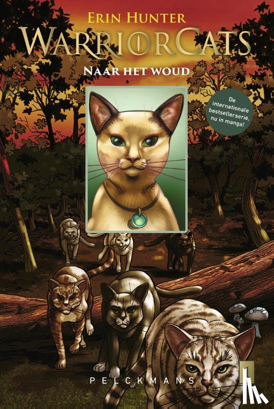 Hunter, Erin, Jolley, Dan - Warrior Cats - Manga: Naar het woud