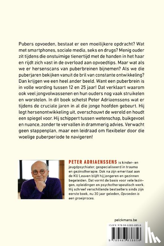 Adriaenssens, Peter - De flexgeneratie