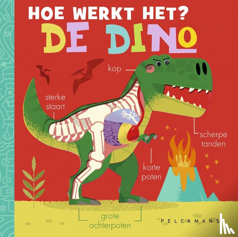  - Hoe werkt het? De dino