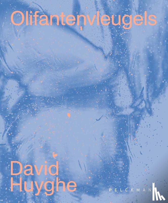 Huyghe, David - Olifantenvleugels