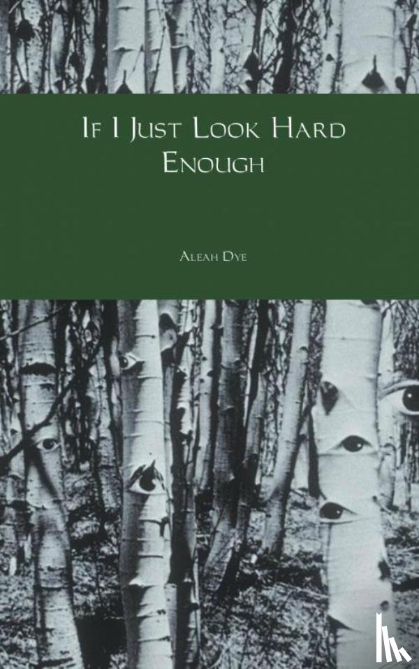 Dye, Aleah - If I Just Look Hard Enough