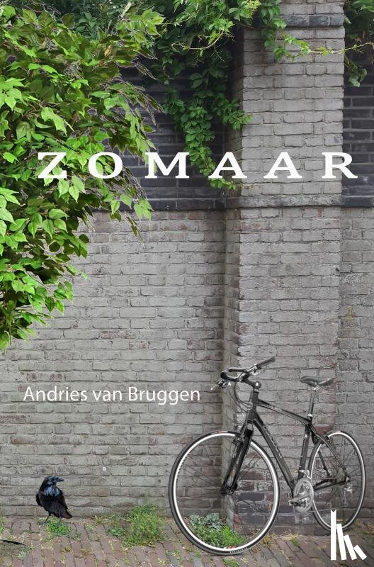 van Bruggen, Andries - Zomaar