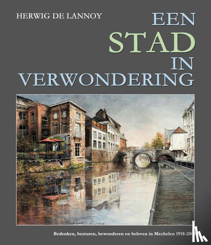 Lannoy, Herwig De - Een stad in verwondering