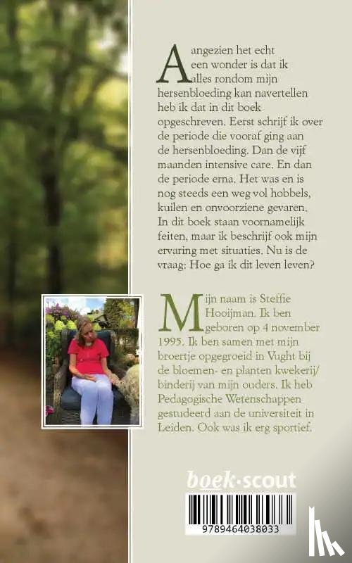 Hooijman, Steffie - De weg terug