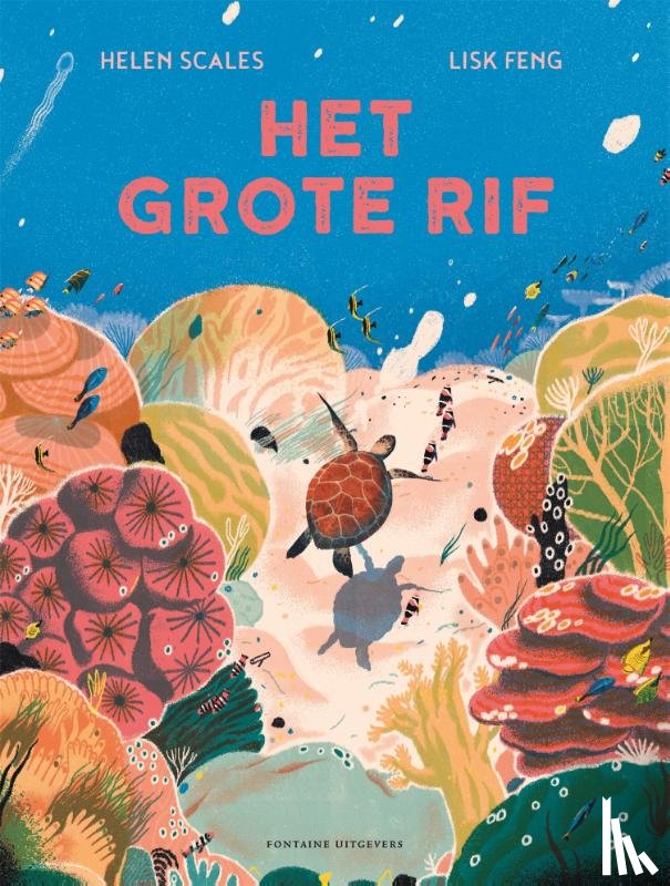 Scales, Helen, Vitataal tekst en redactie - Het grote rif