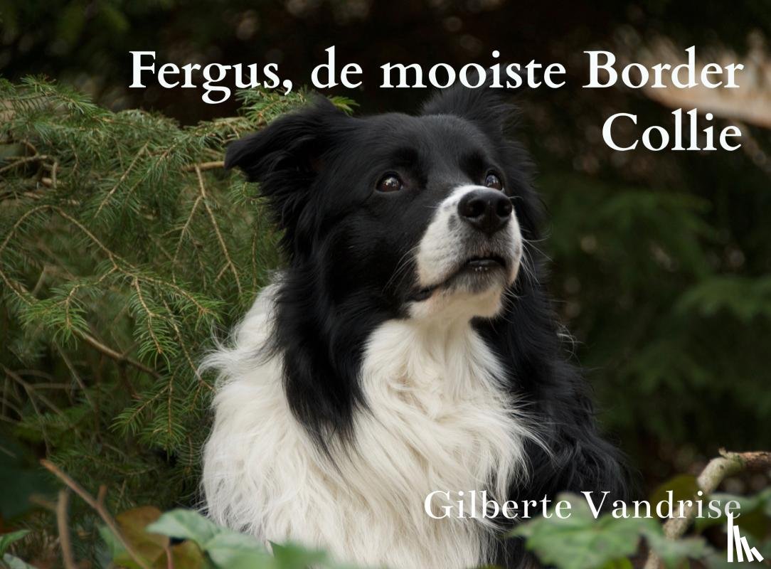 Vandrise, Gilberte - Fergus, de mooiste Border Collie