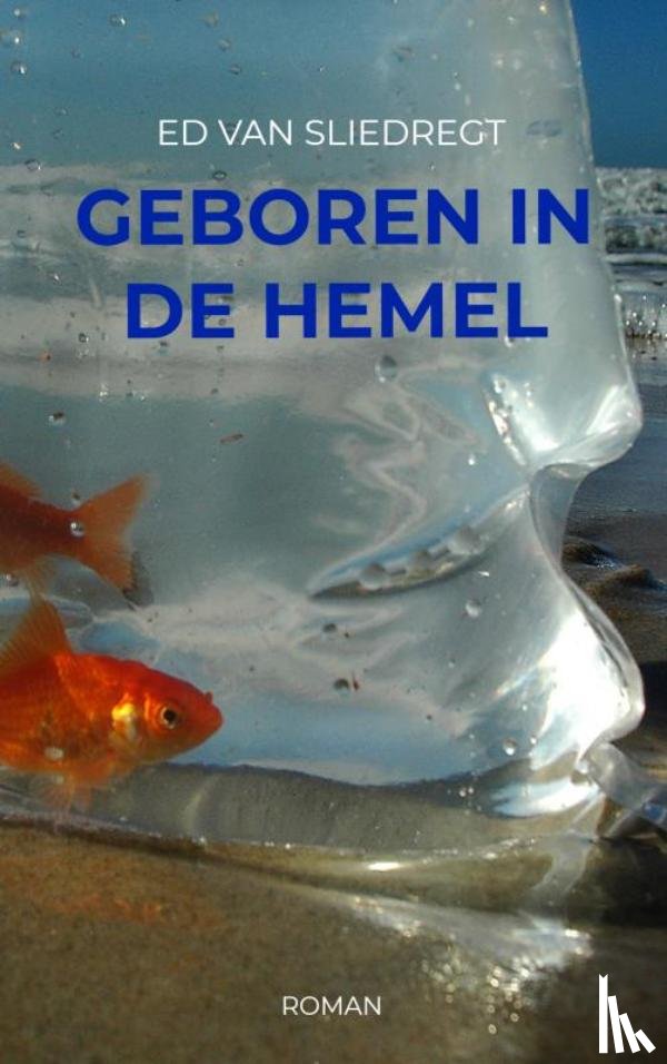 Van Sliedregt, Ed - Geboren in de hemel