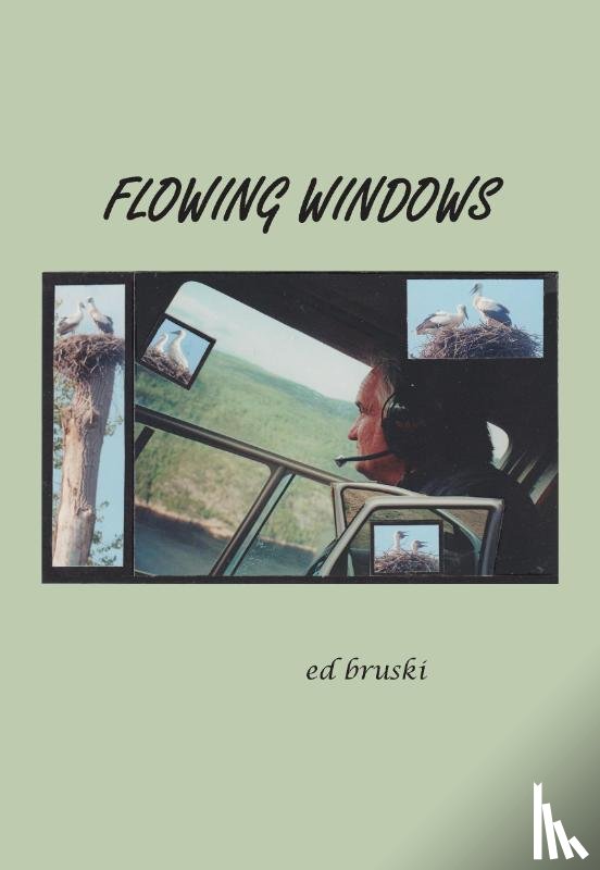 Bruski, Ed - flowing windows