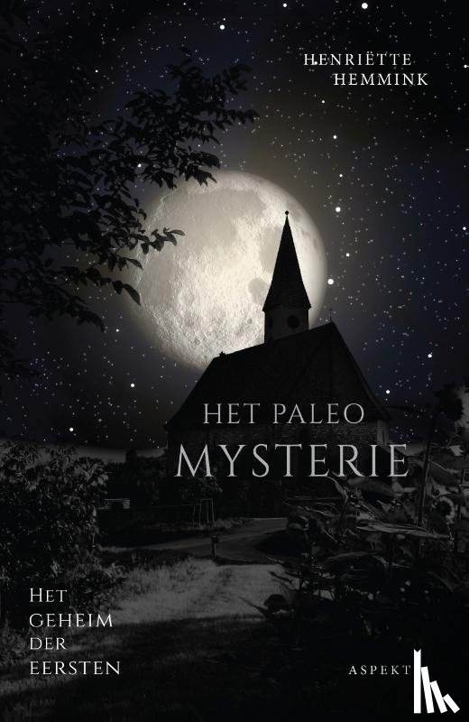 Hemmink, Henriëtte - Het Paleo Mysterie